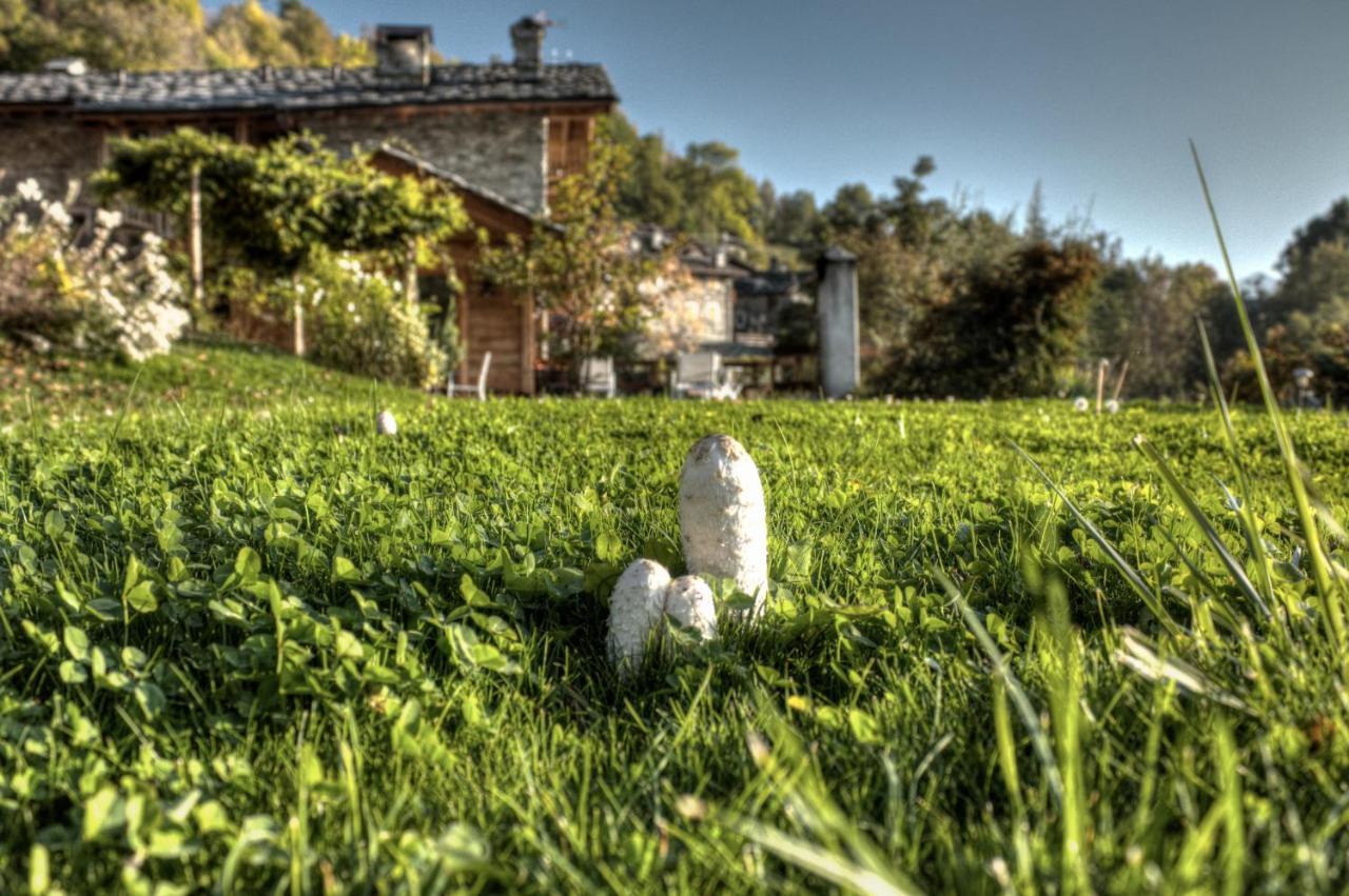 Maison Perriere Frühstückspension