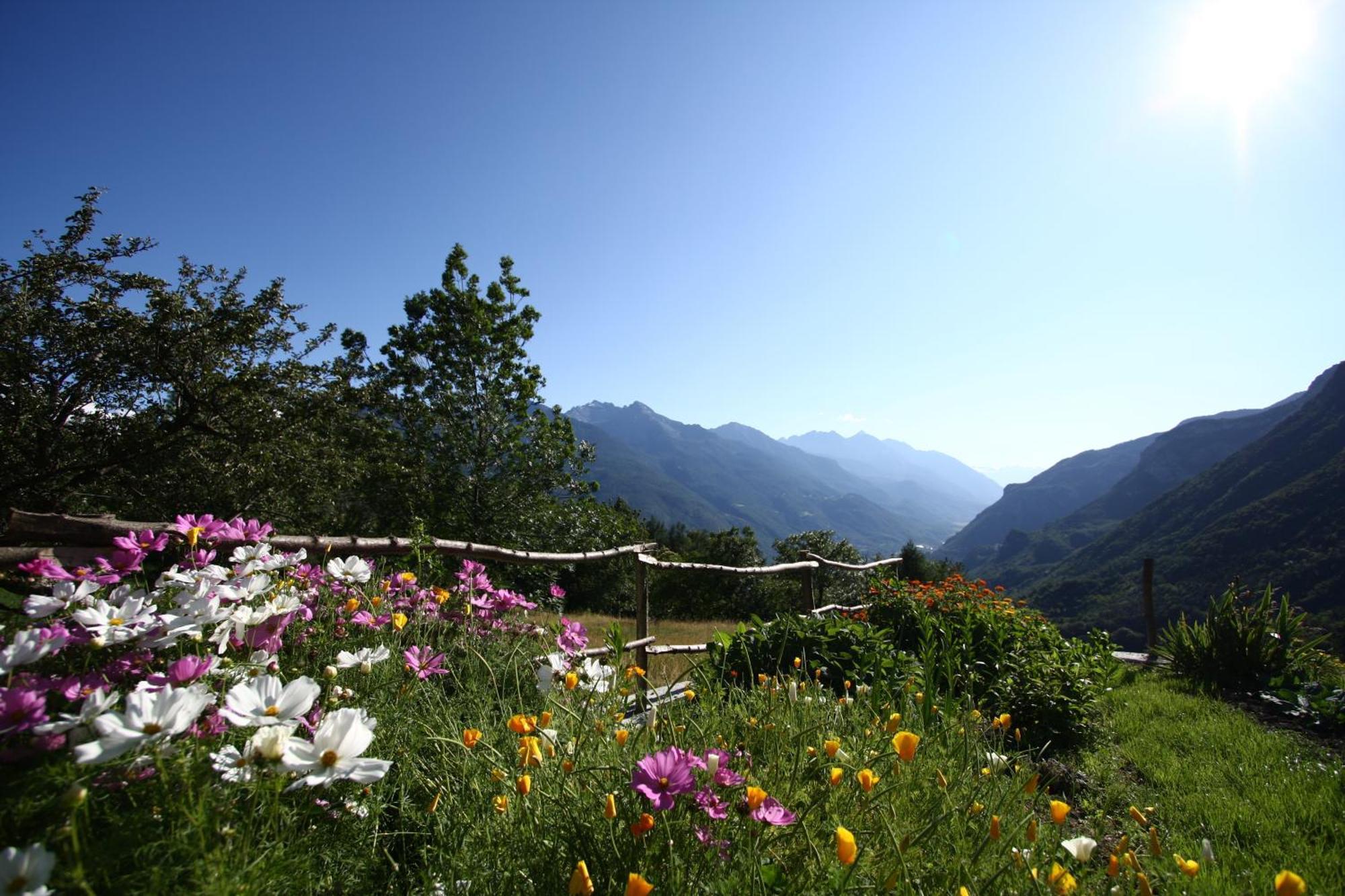 Bed & Breakfast Maison Perriere - D'hotes & Jacuzzi