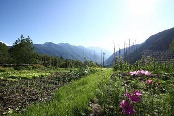 Bed & Breakfast Maison Perriere - D'hotes & Jacuzzi Saint-Vincent