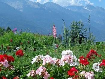 Bed & Breakfast Maison Perriere - D'hotes & Jacuzzi 2*